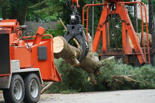 Best Weed Control  in Nappanee, IN