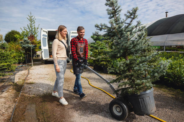 Best Lawn Mowing  in Nappanee, IN